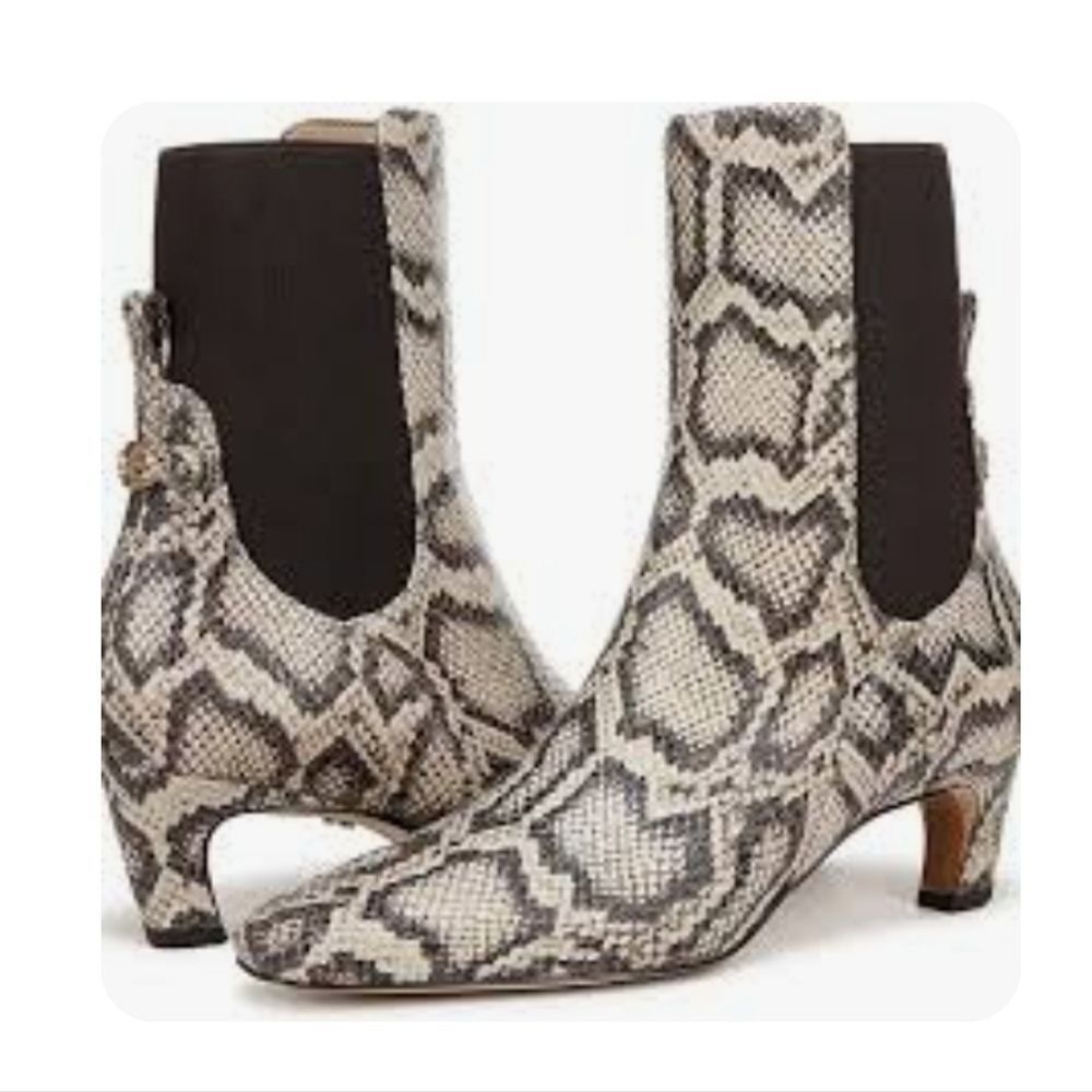 NEW Sam Edelman Roccia Gray Snake Print Leather Ankle Boot Size 9